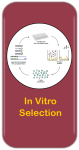 In Vitro Selection