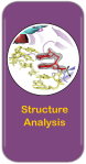 Stucture Analysis